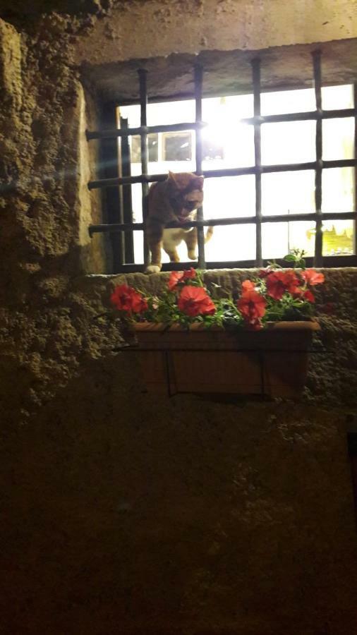 L'Arco Di Sersa Riccò del Golfo di Spezia Exteriör bild